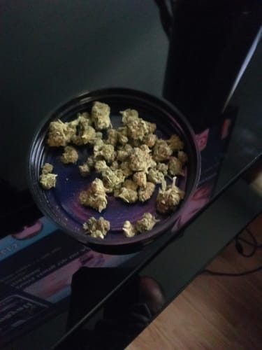 Customer photo review of Larry Bird Gelato THCA Flower