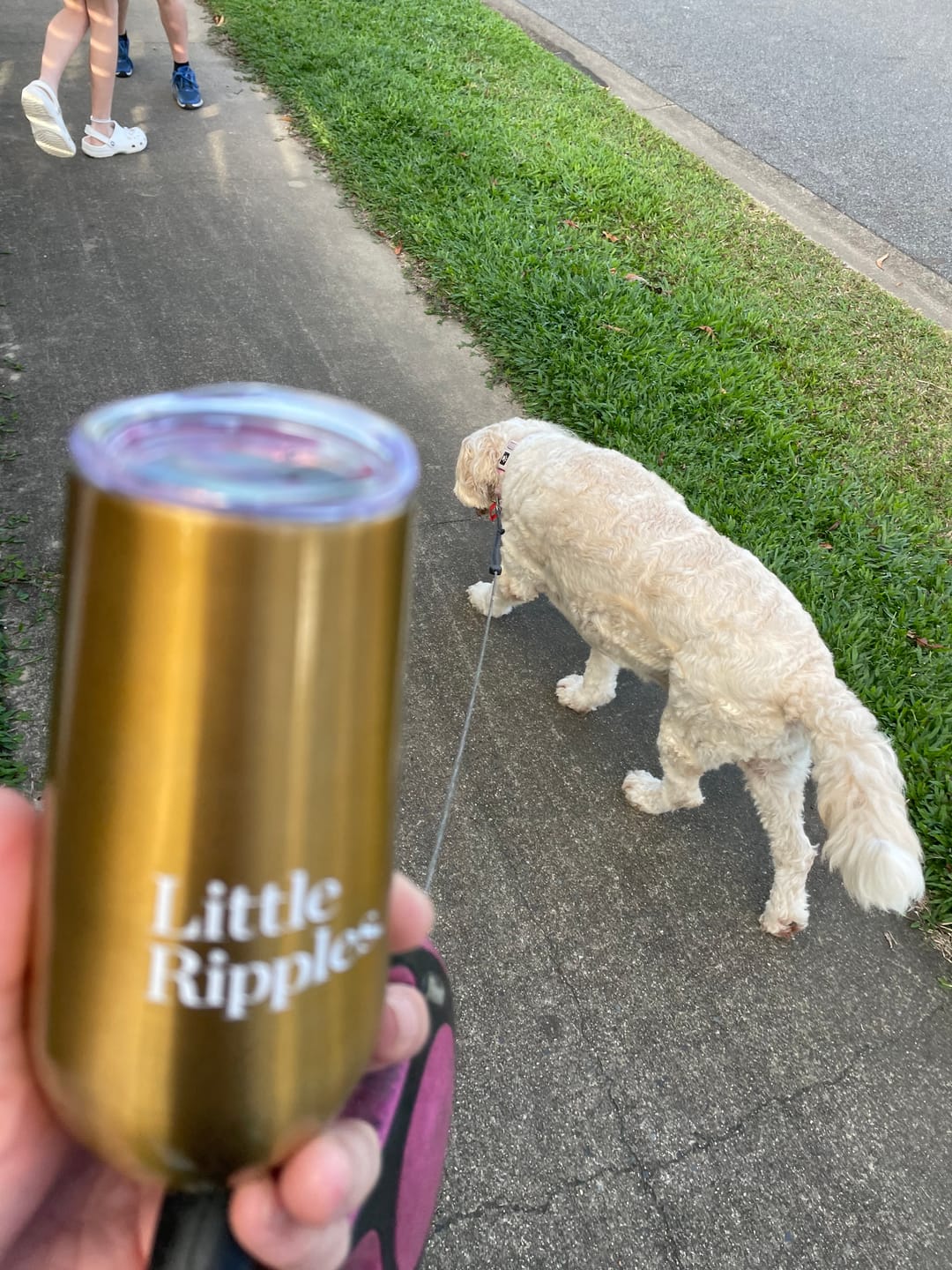 Customer photo review of Sampler - 4 Pack