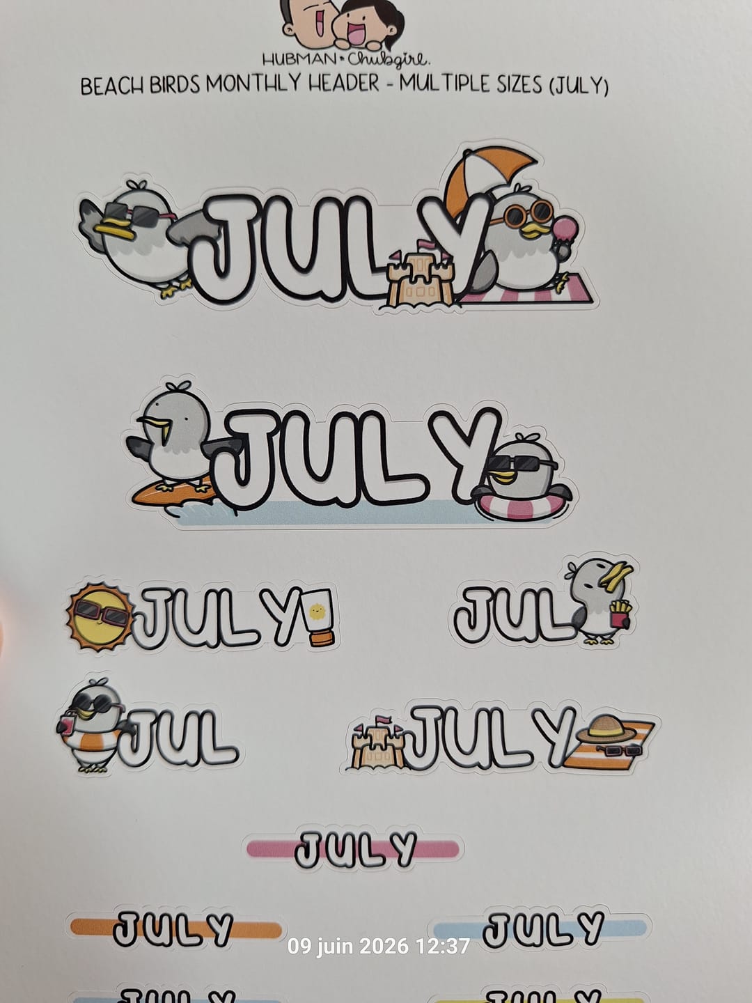 Customer photo review of Beach Birds Monthly Header - Multiple Sizes