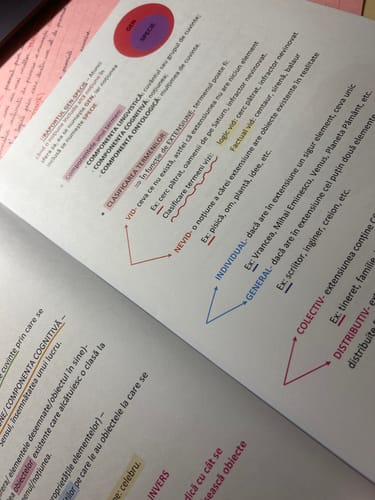 Recenzie cu fotografie de la un client despre Carte Logică Bacalaureat Bacademia