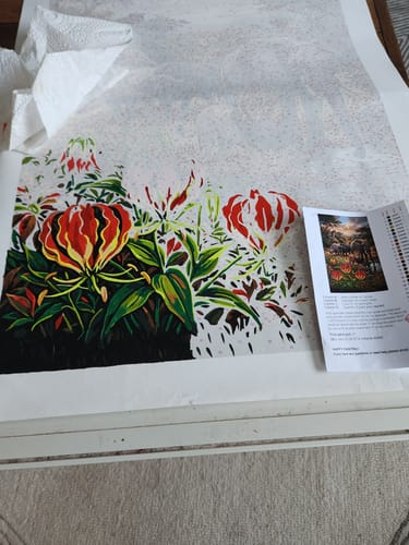 Customer photo review of Design Your Own Paint by Number with AI
