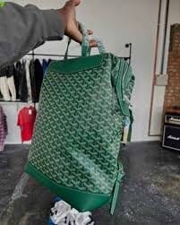 Customer photo review of Summit Elegance Backpack