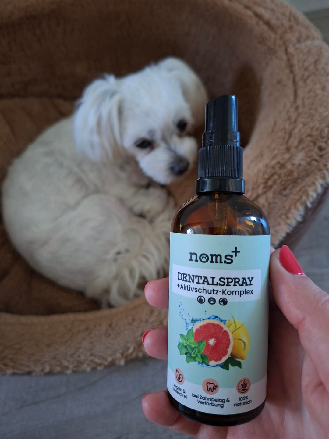 Customer photo review of Dentalspray bei Zahnstein für Hunde und Katzen