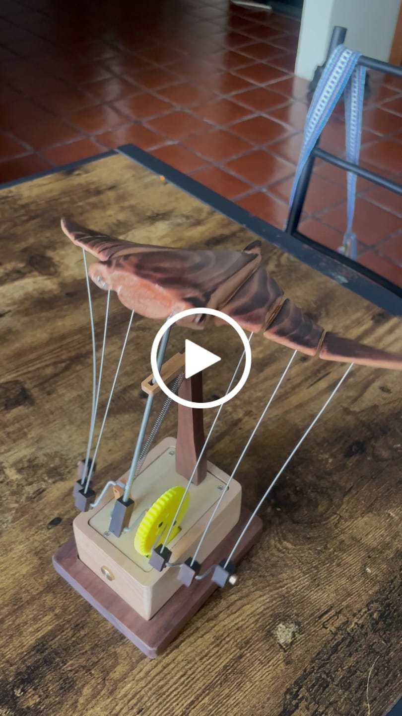 Customer video review of MarinerPoet Handcrafted Wooden Manta Ray Automaton