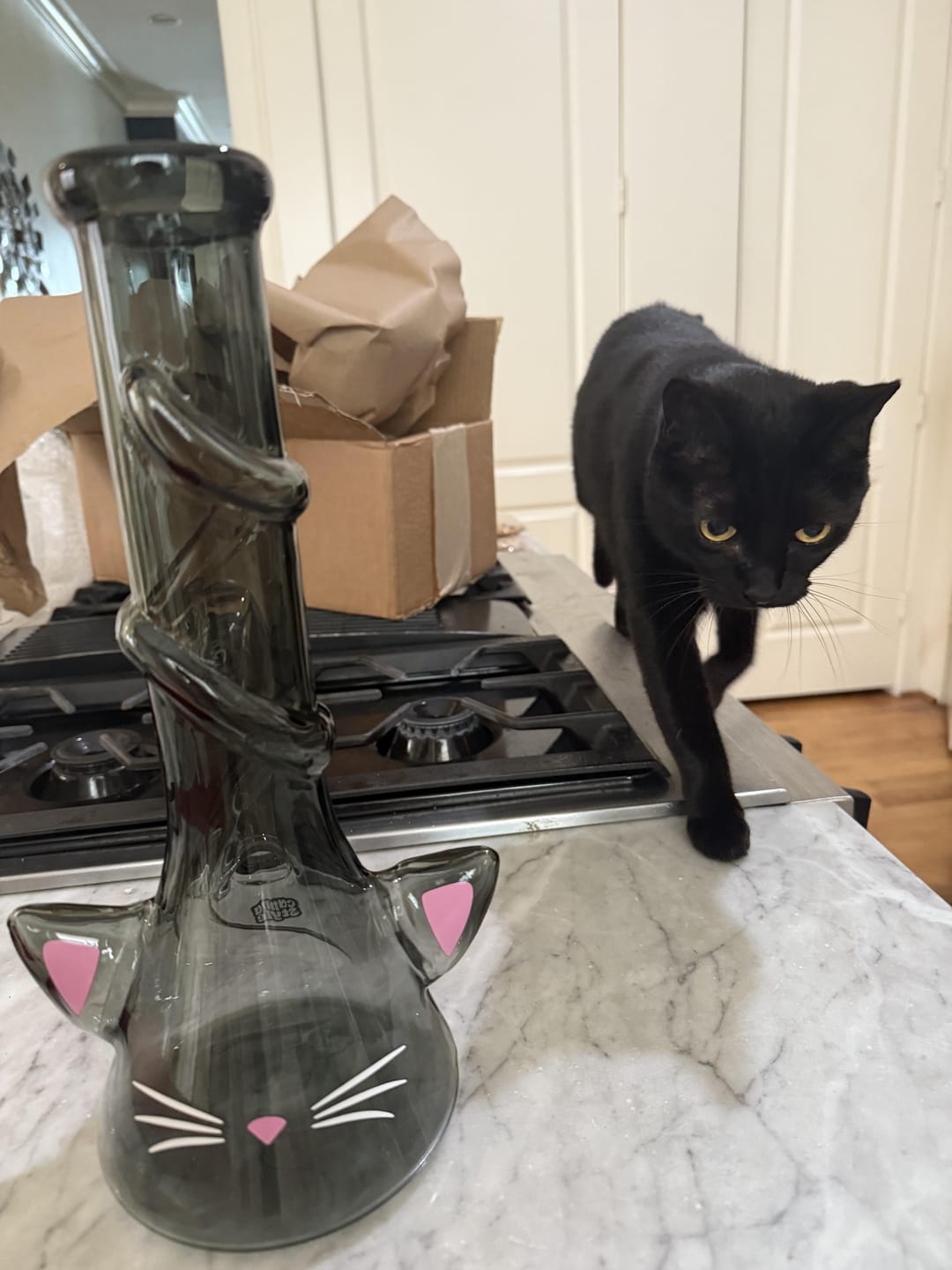 Customer photo review of CAT BONG