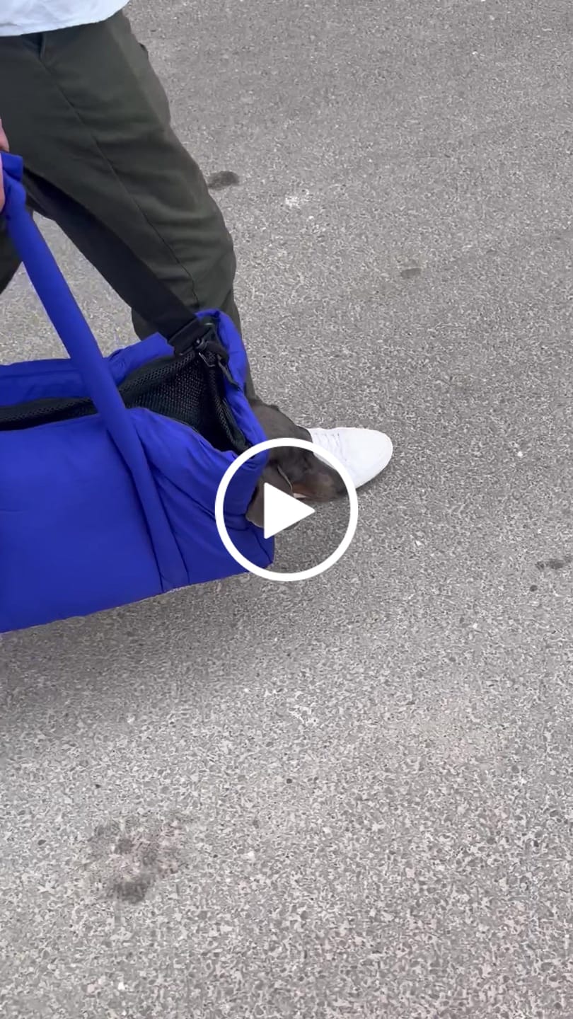 Customer video review of Sac de voyage bleu