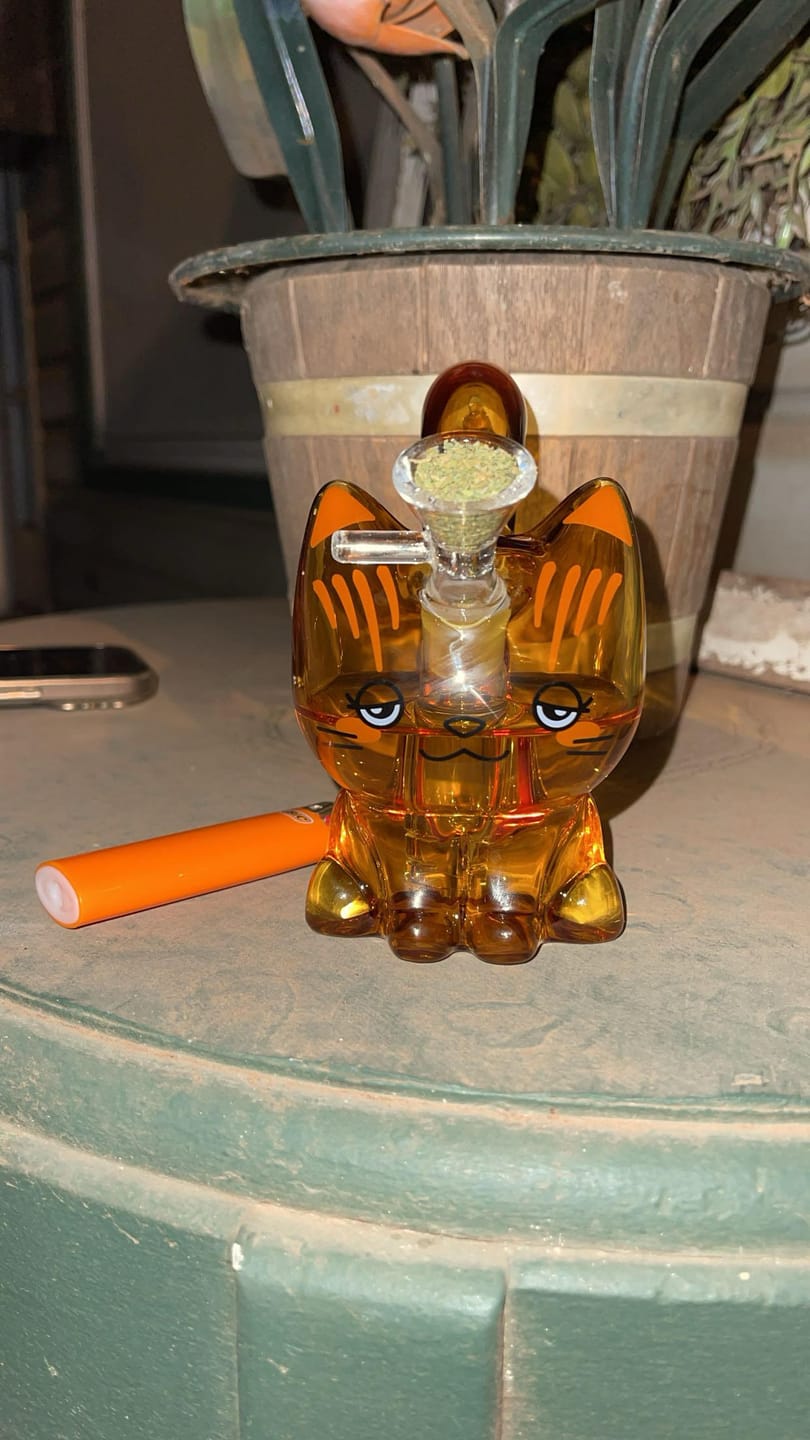 Customer photo review of CANNACAT BUBBLER