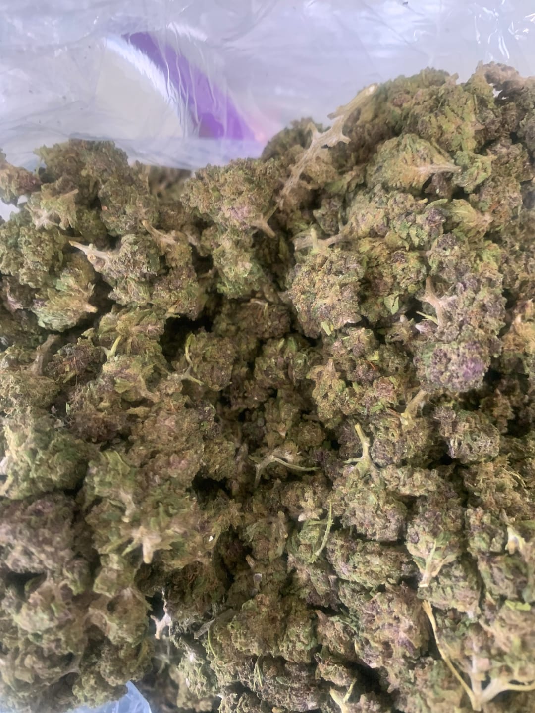 Customer photo review of White Nerds - Bulk - Hybrid
