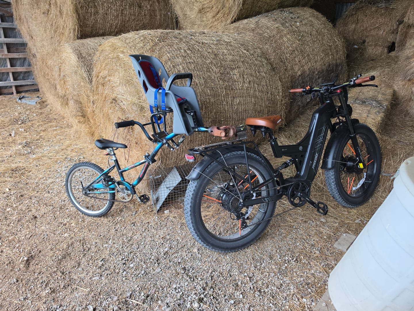Customer photo review of Bike Cover