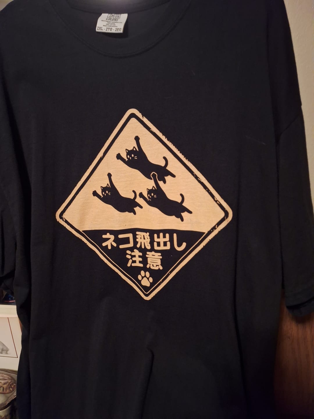 Customer photo review of Beware Flying Cats T-Shirt
