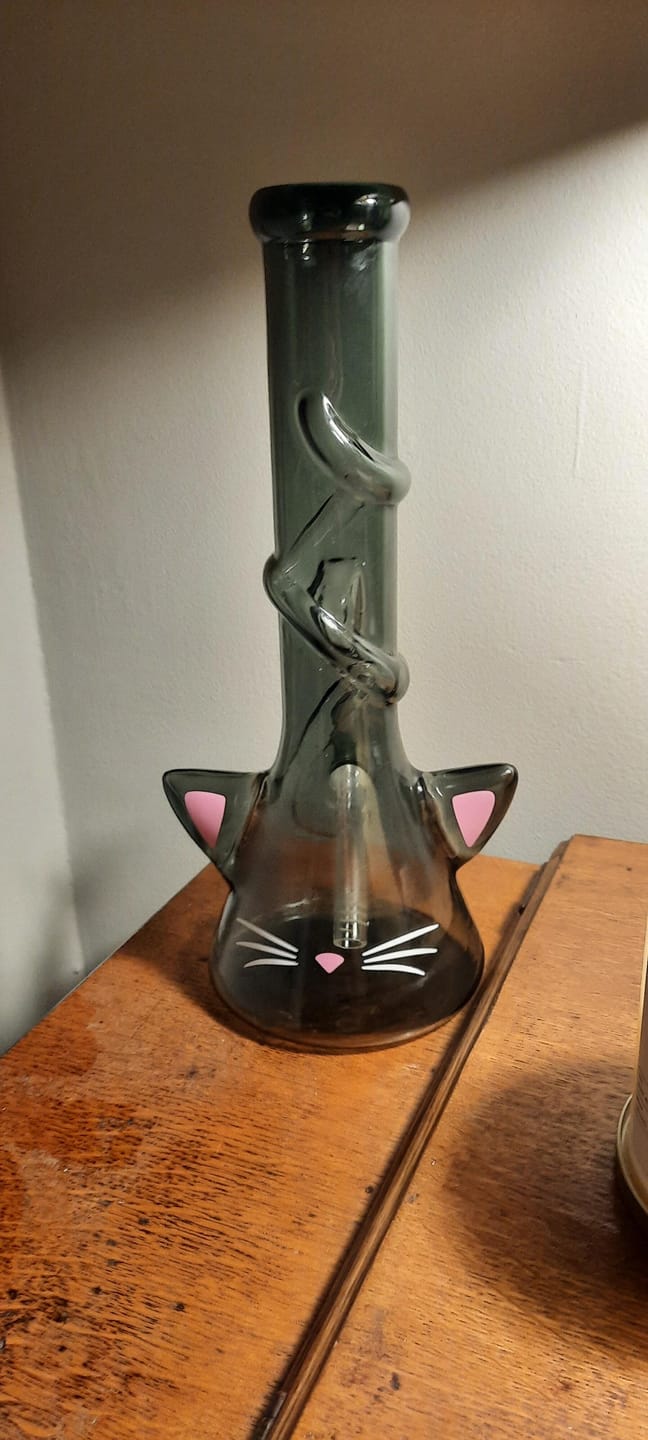 Customer photo review of CAT BONG