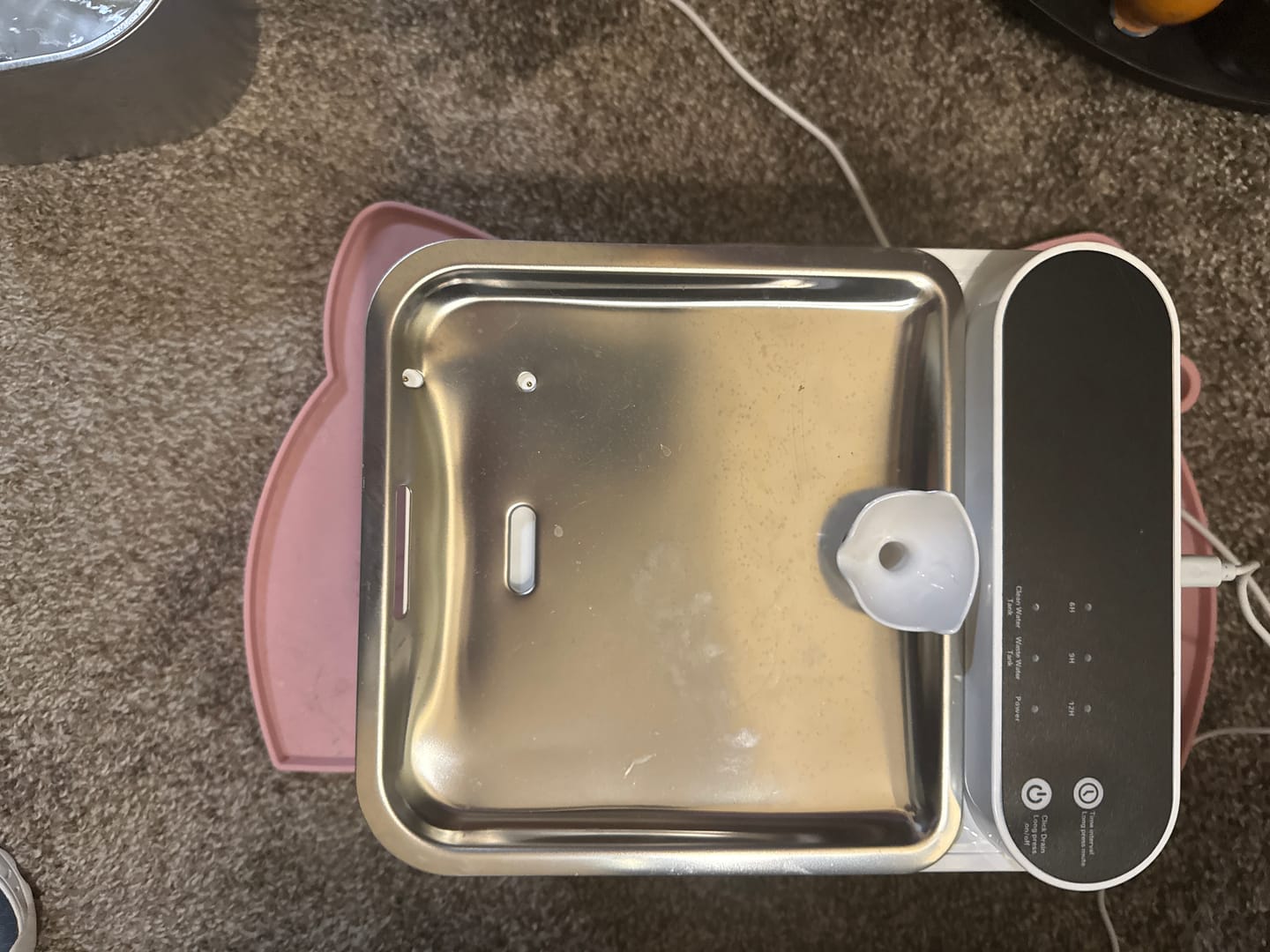 Customer photo review of The Hydrated Cat Method