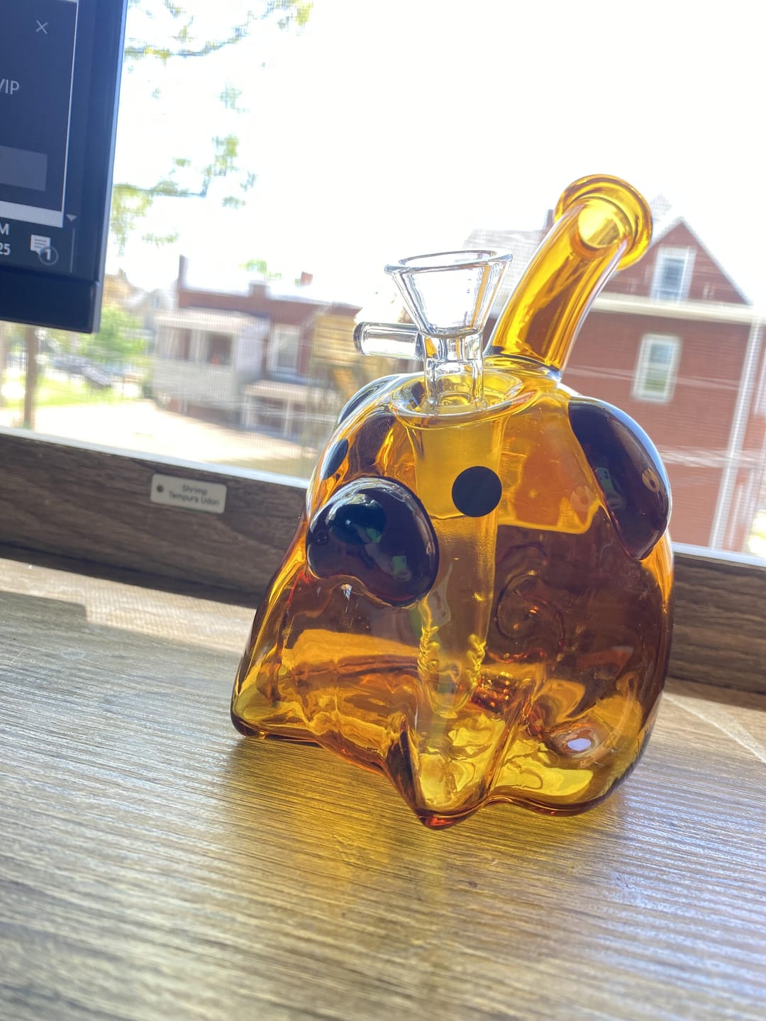 Customer photo review of DOG BUBBLER