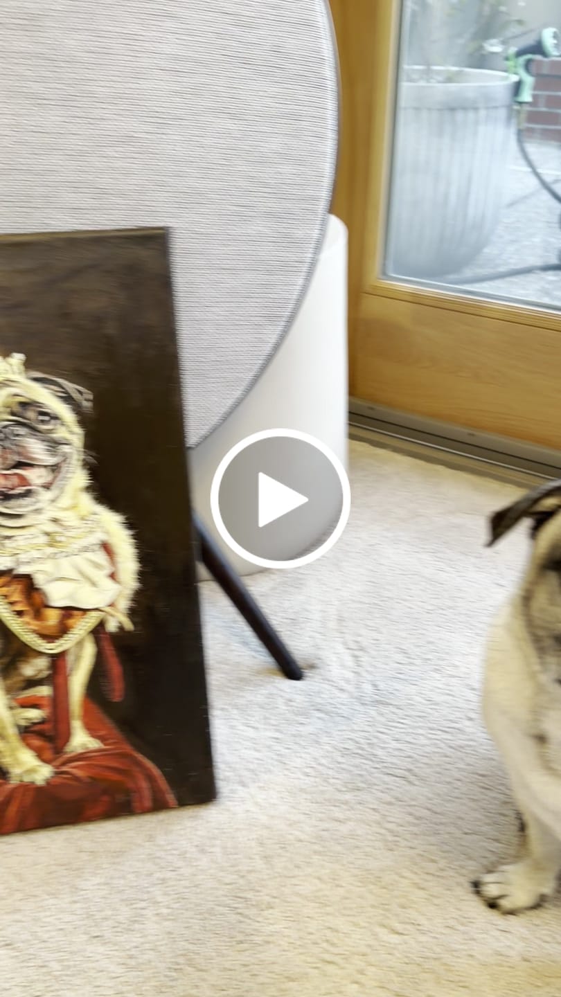 Customer video review of The King | Hand-painted Pet Portrait