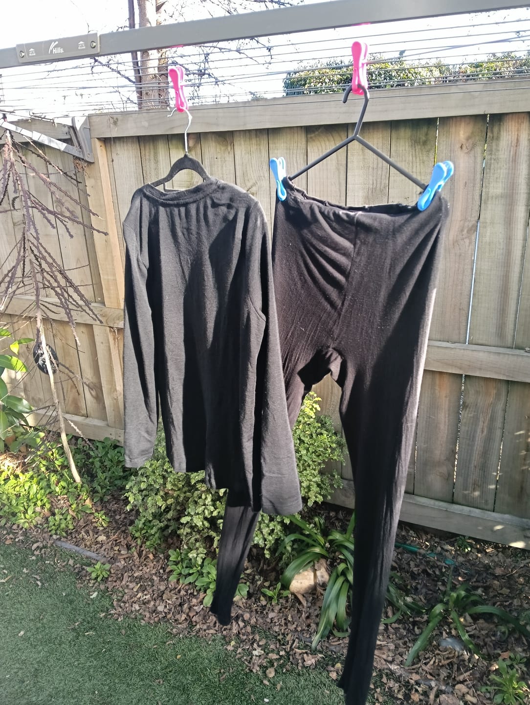 Customer photo review of Hegs Pegs 18pk
