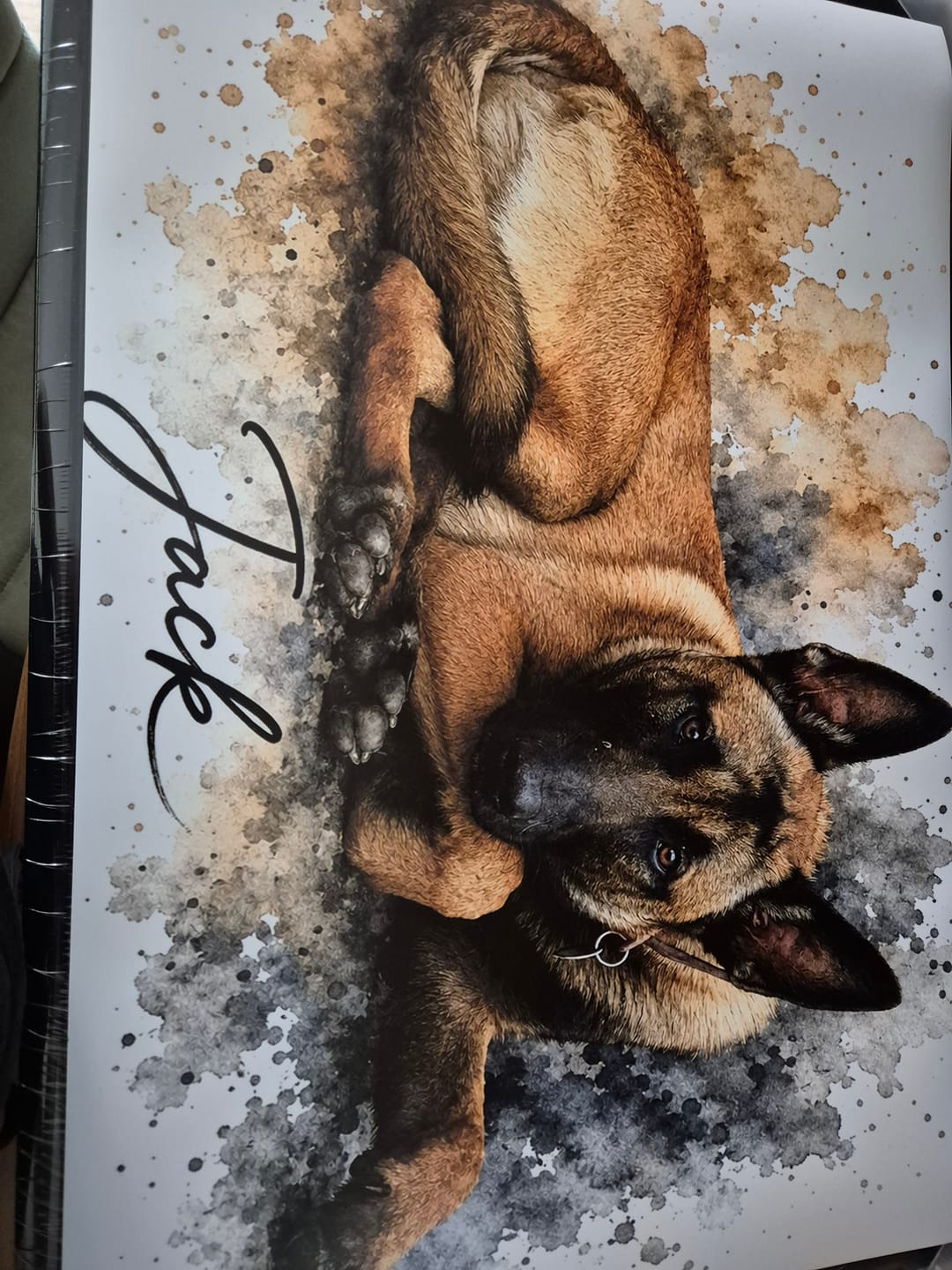 Customer photo review of Tierisches Wasserfarben Portrait