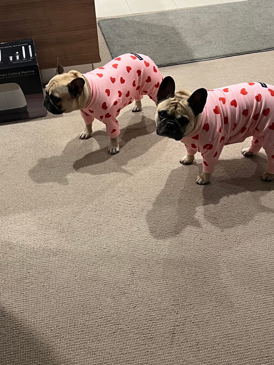 Customer photo review of Dog Pajama - Pink Hearts