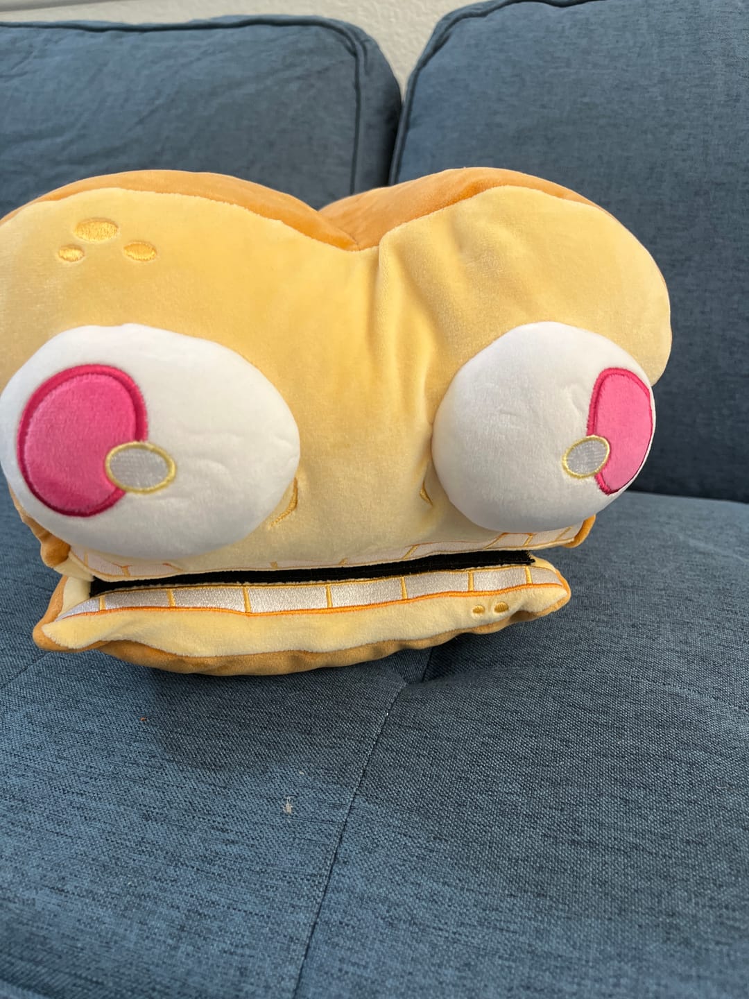 Customer photo review of Big Breadhead Plush
