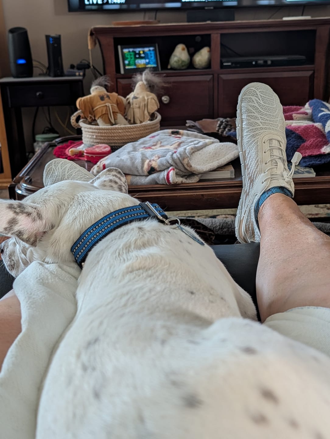 Customer photo review of Neuro (Unisex) BOGO