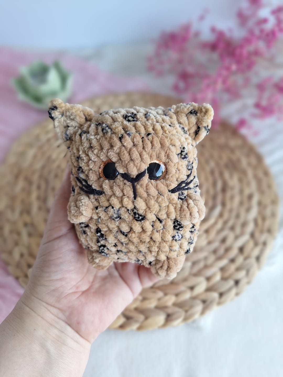 Customer photo review of Wolans Confetti