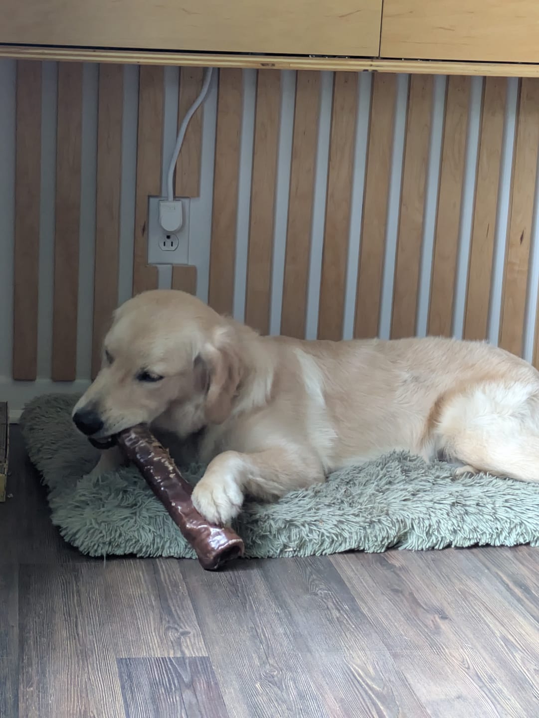 Customer photo review of 12 Inch Trachea Wrapped in Jerky
