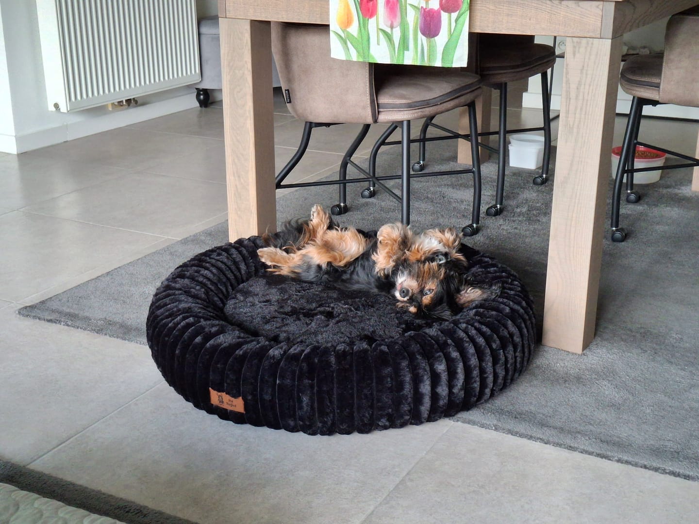Customer photo review of Pet Perfect Orthopedische Donutmand