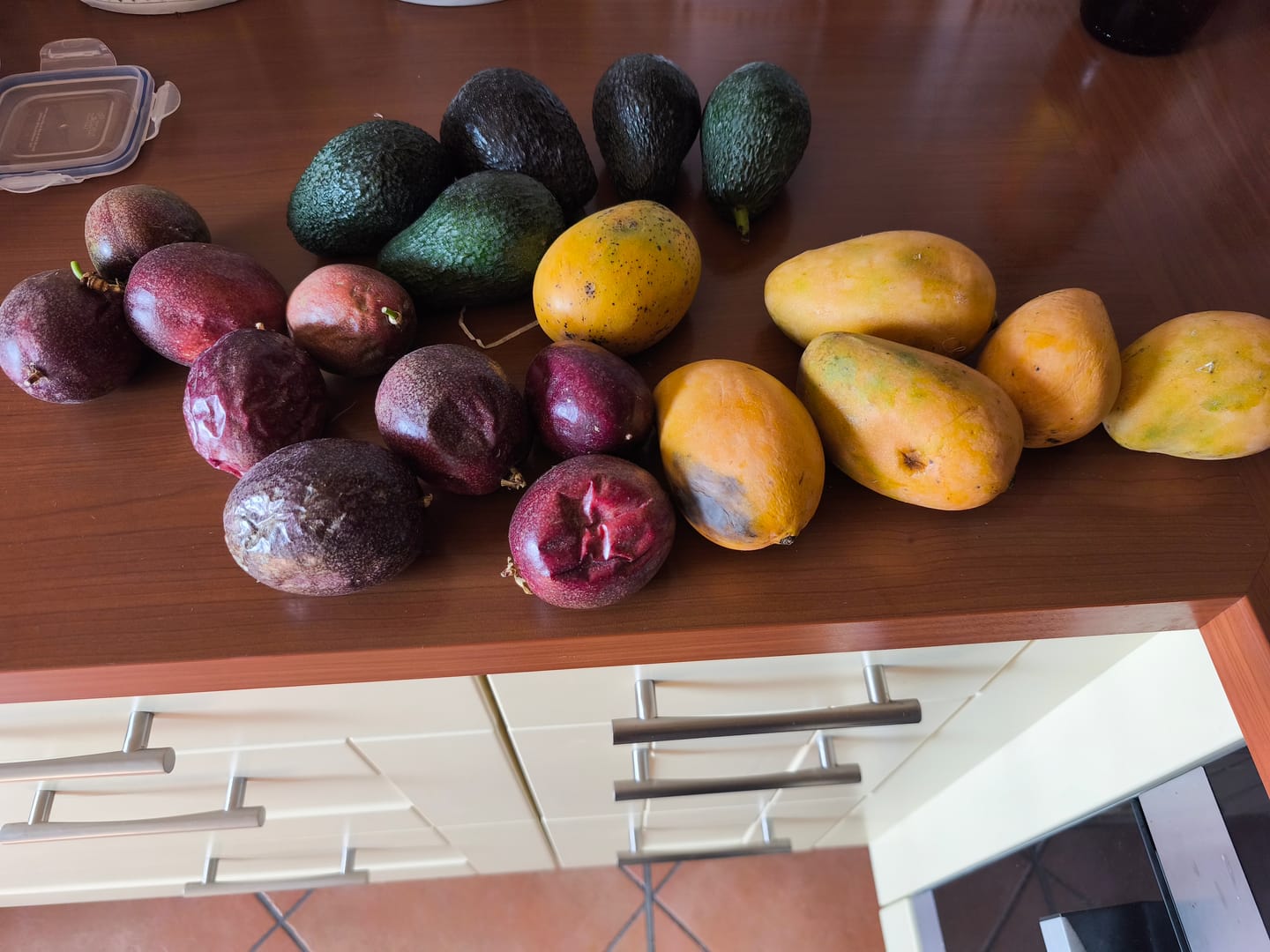 Customer photo review of Mango & Passionsfrüchte Box 2kg