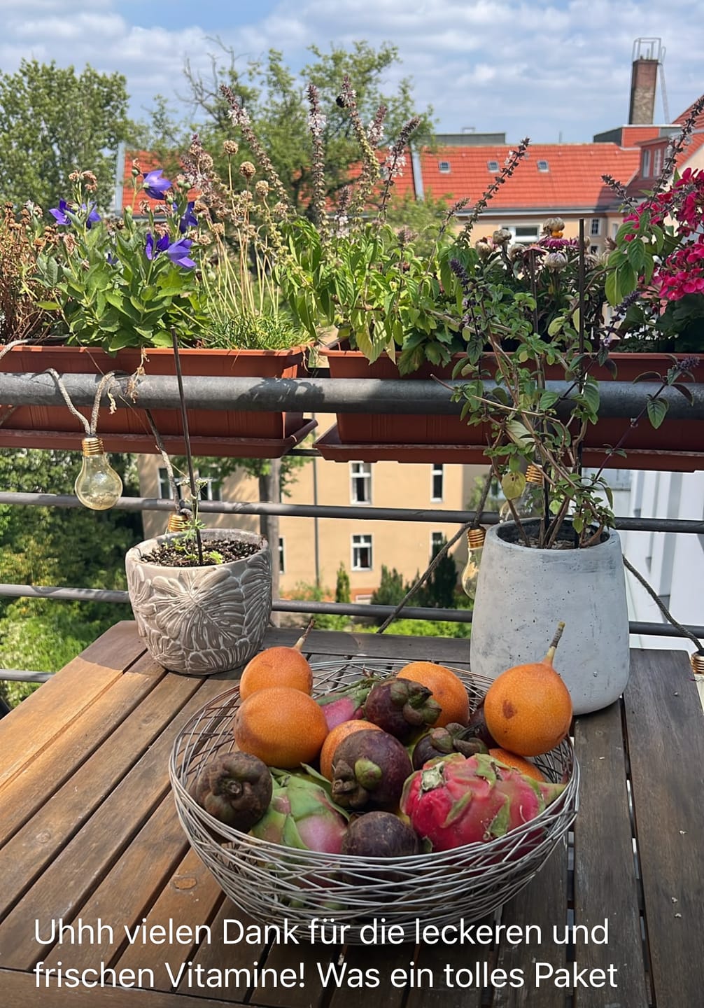 Customer photo review of Exotische Früchtebox "Latin-Lover"