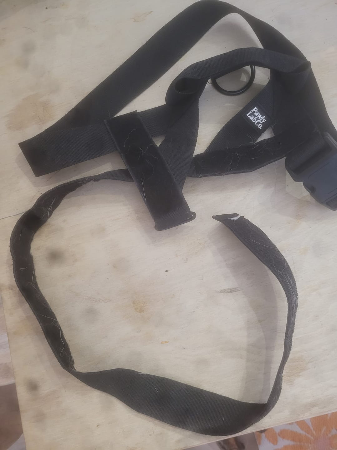 Customer photo review of No-Pull Harness [Free Today]