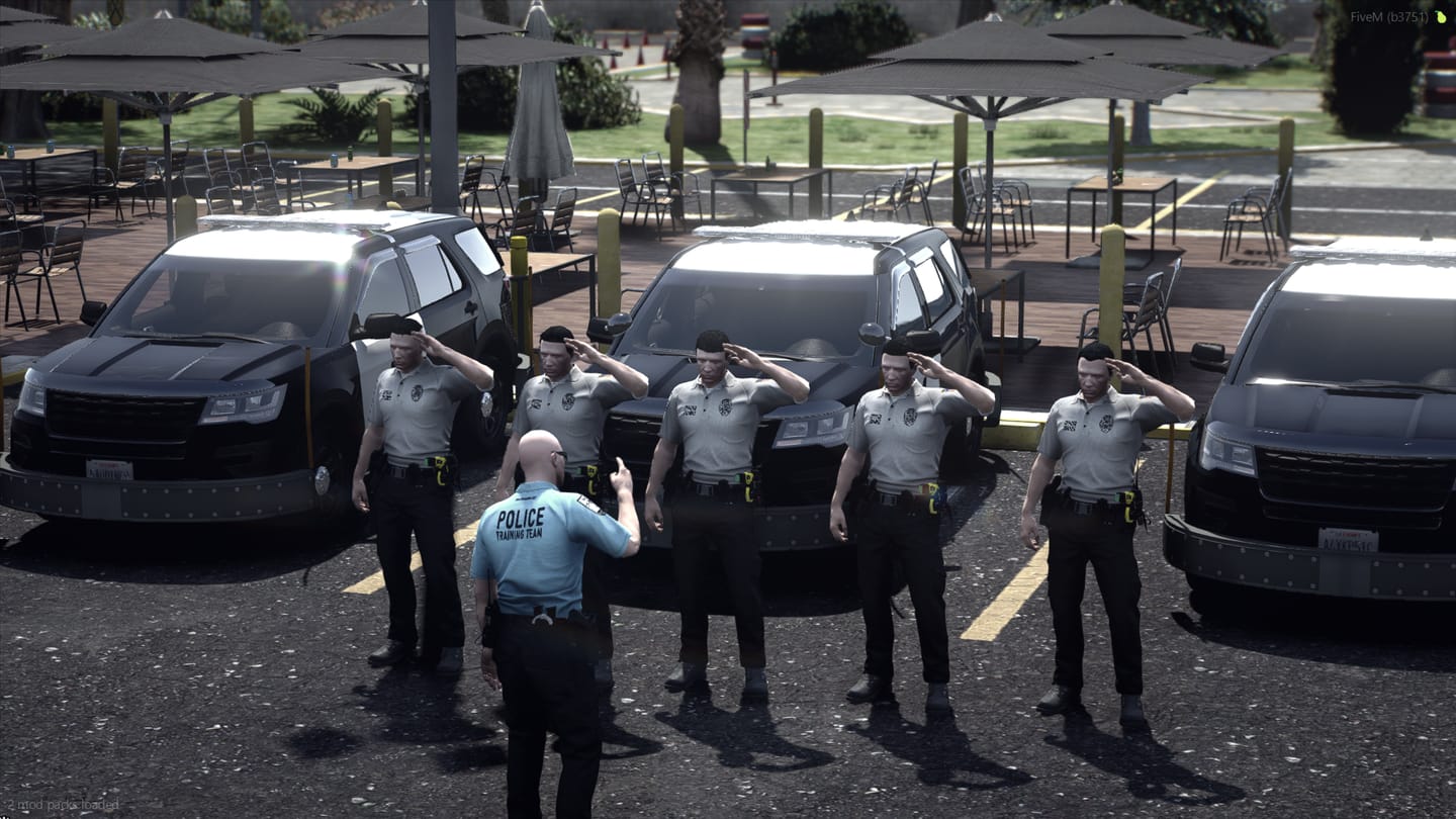 Customer photo review of 2025 LSPD EUP Package