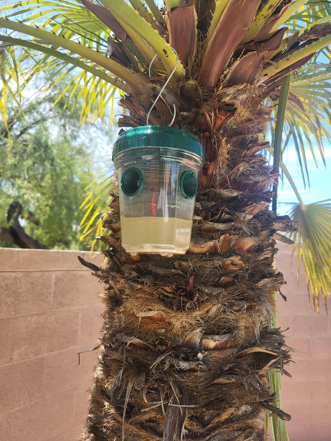 Customer photo review of Mosquito TNT Refill Pack