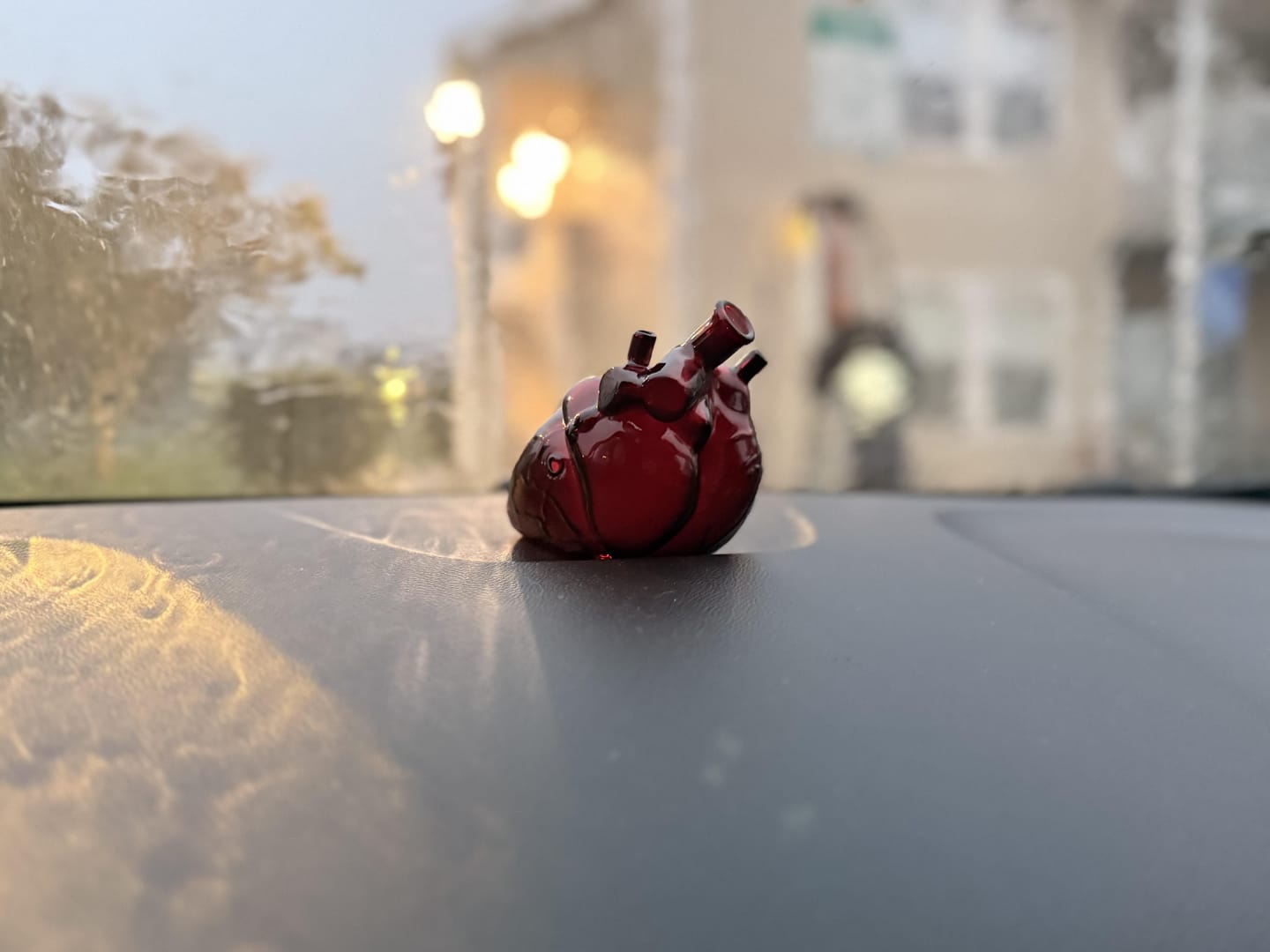 Customer photo review of ANATOMICAL HEART PIPE