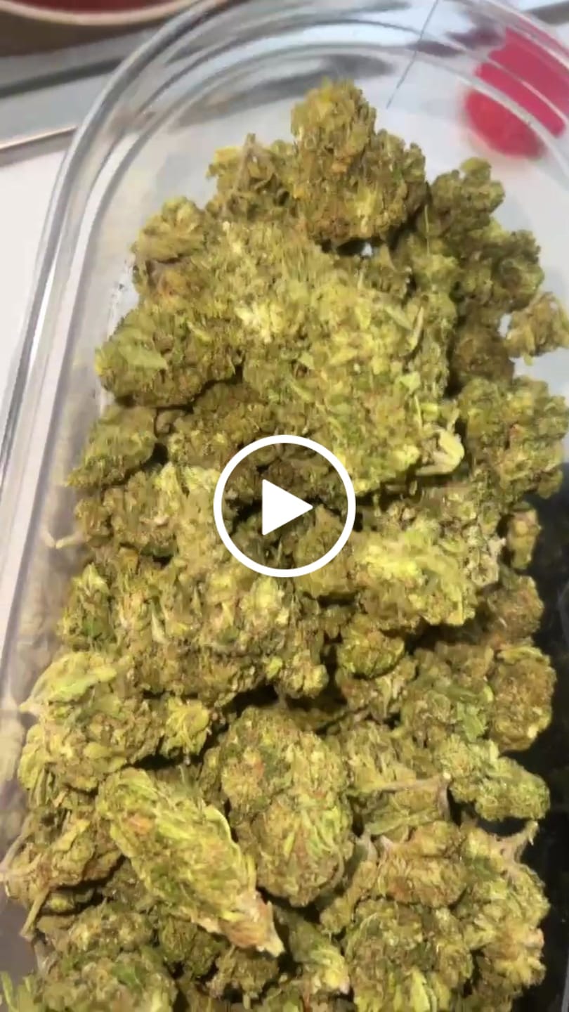 Customer video review of Fire OG - Bulk - Indica