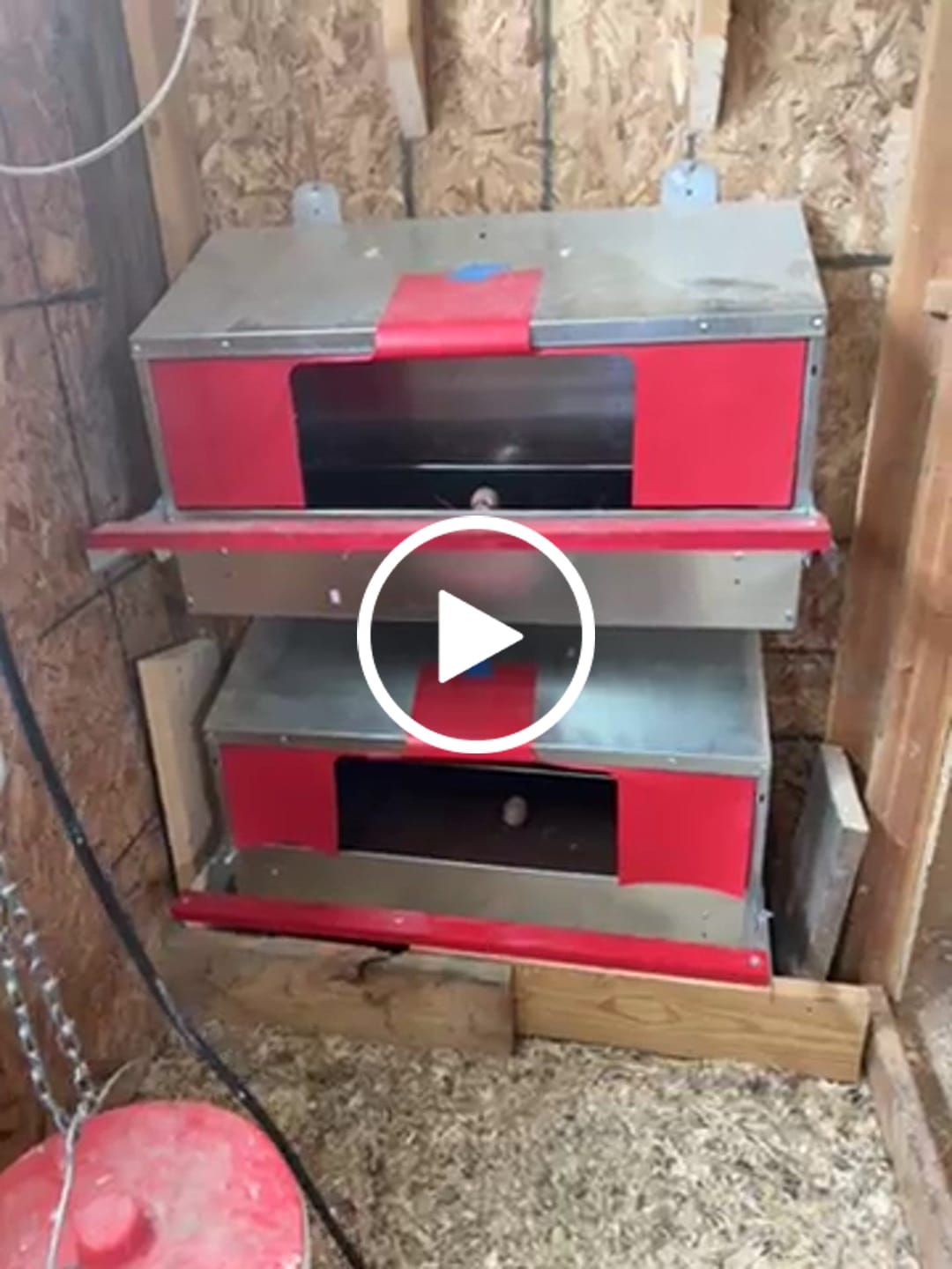 Customer video review of Medium (34") Reversible Roll-out Nest Box (Up to 32 Hens)