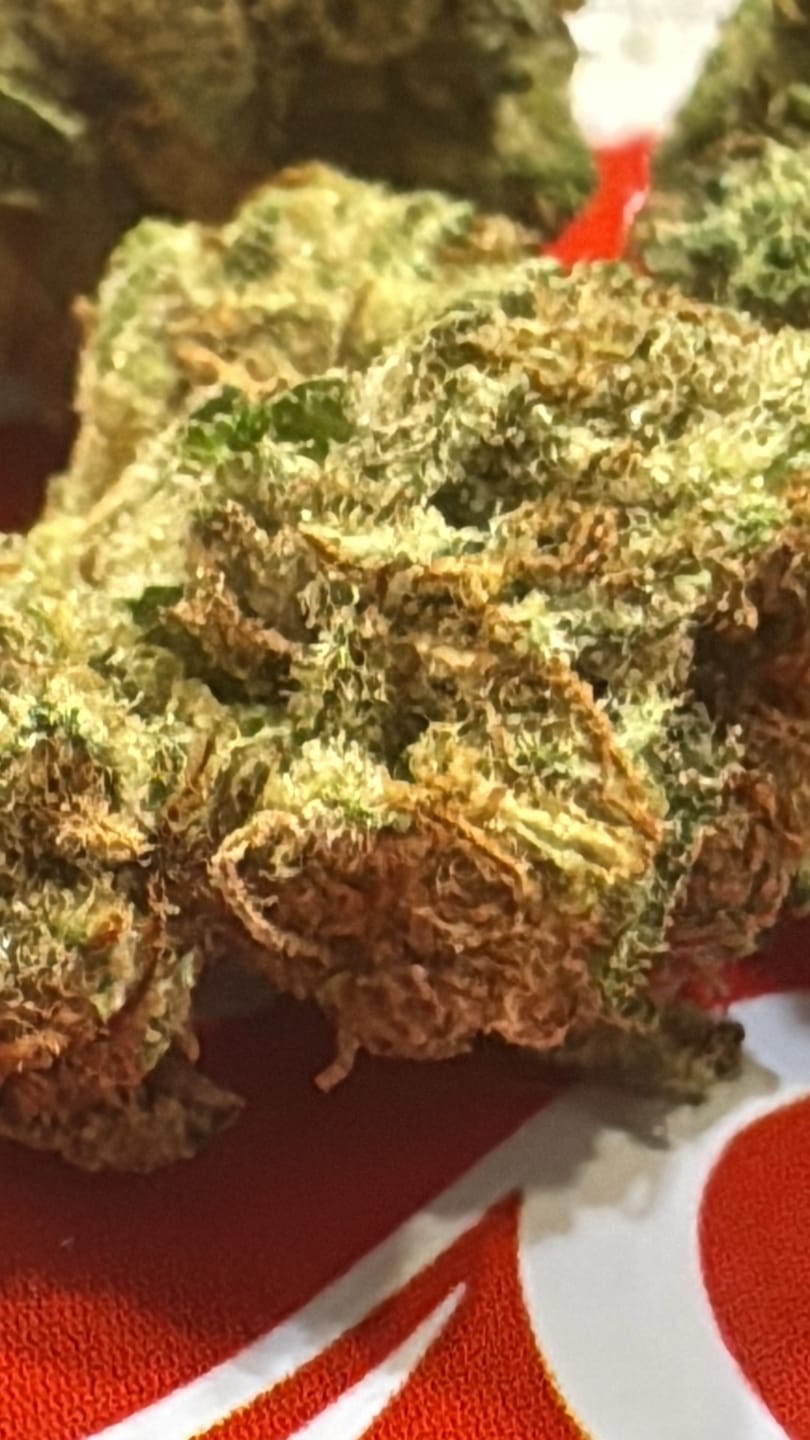 Customer photo review of Blueberry Muffins Minis - Bulk Minis - Indica