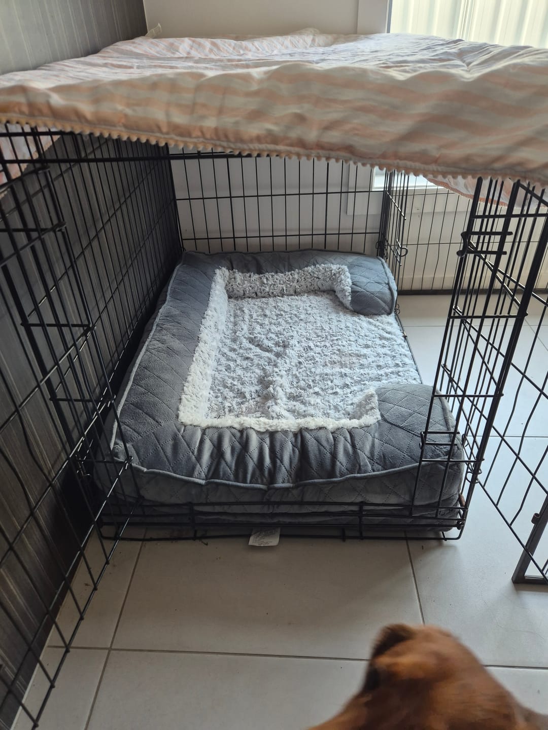 Customer photo review of Orthopedic Memory Foam Dog Bed