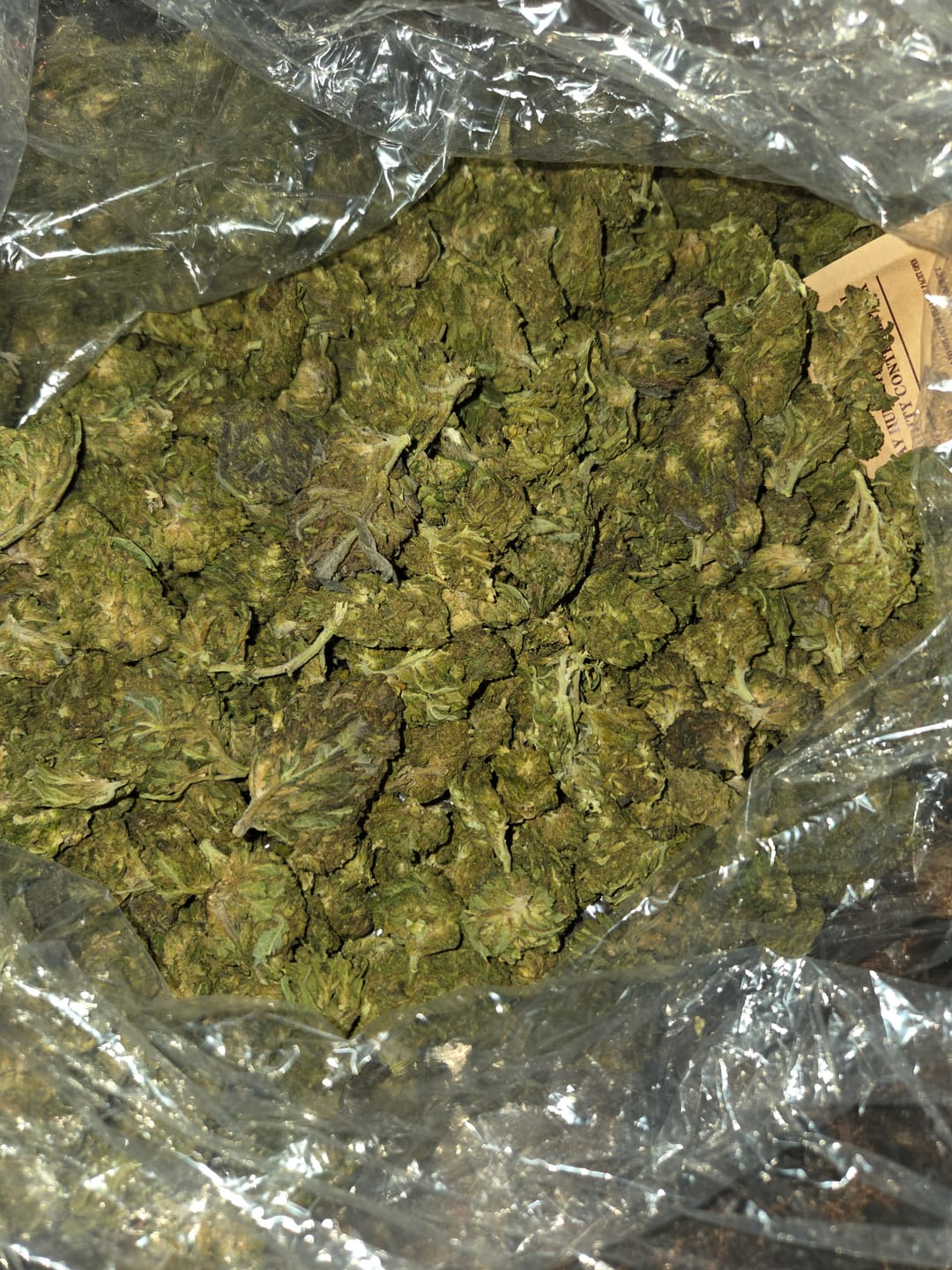 Customer photo review of Blueberry Muffins Minis - Bulk Minis - Indica