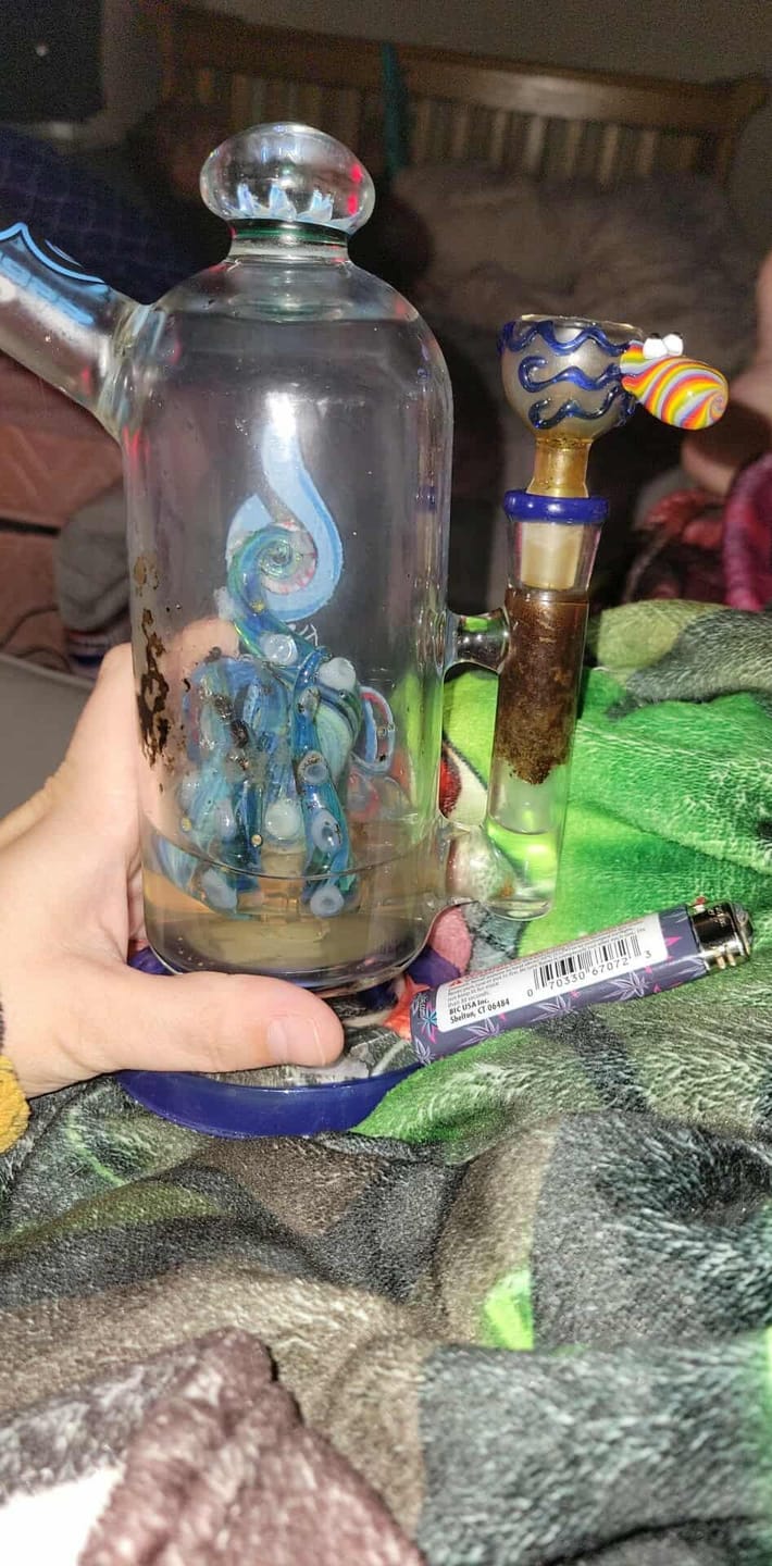 Customer photo review of OCTOPUS BOWL