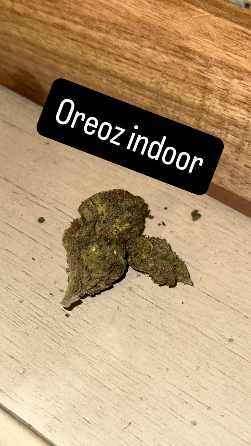 Customer photo review of Oreoz - Indoor - 14 Grams - Hybrid
