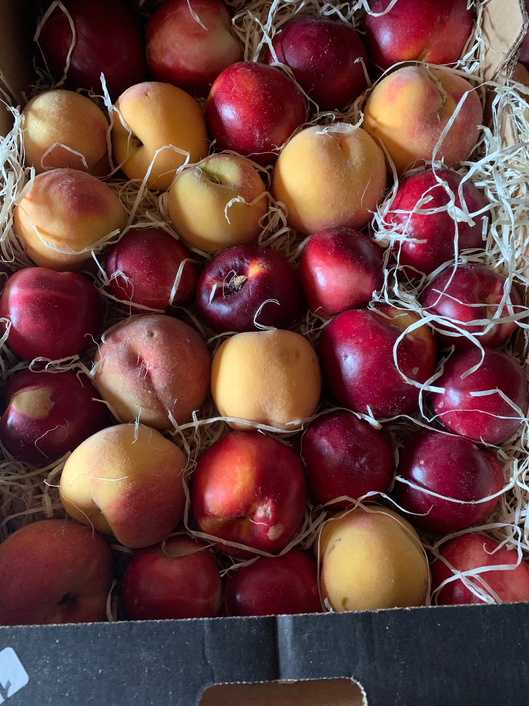 Customer photo review of Pfirsich & Nektarinen Bio von Jordi Retterbox 3kg