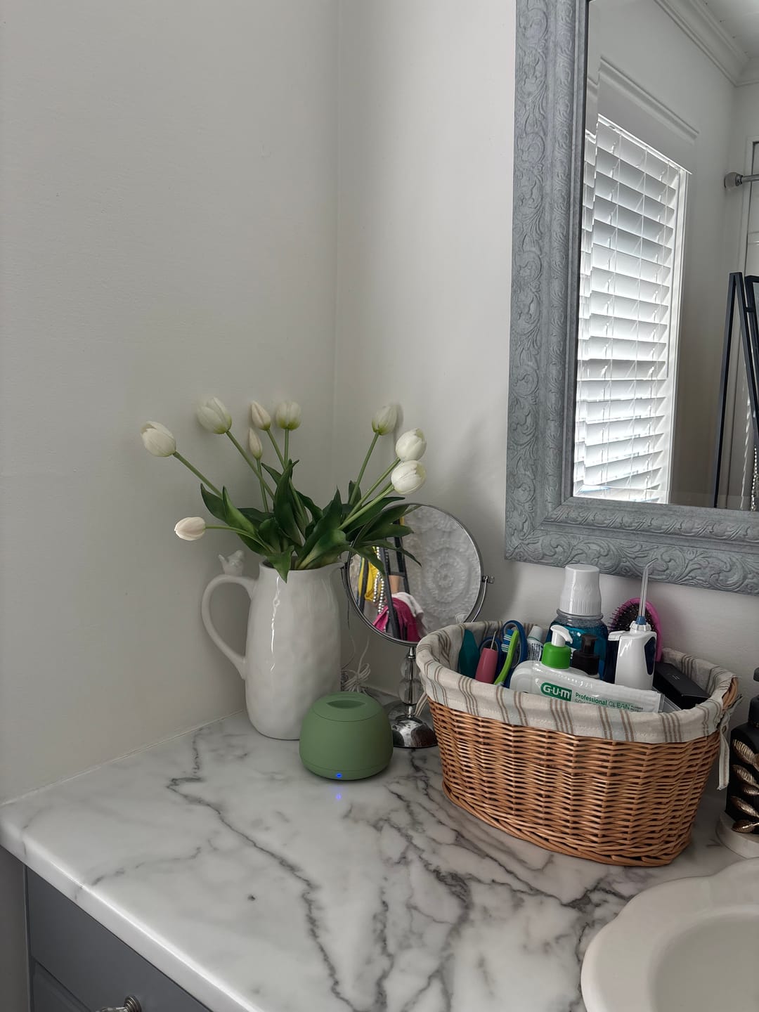 Customer photo review of Dental Pod Pro