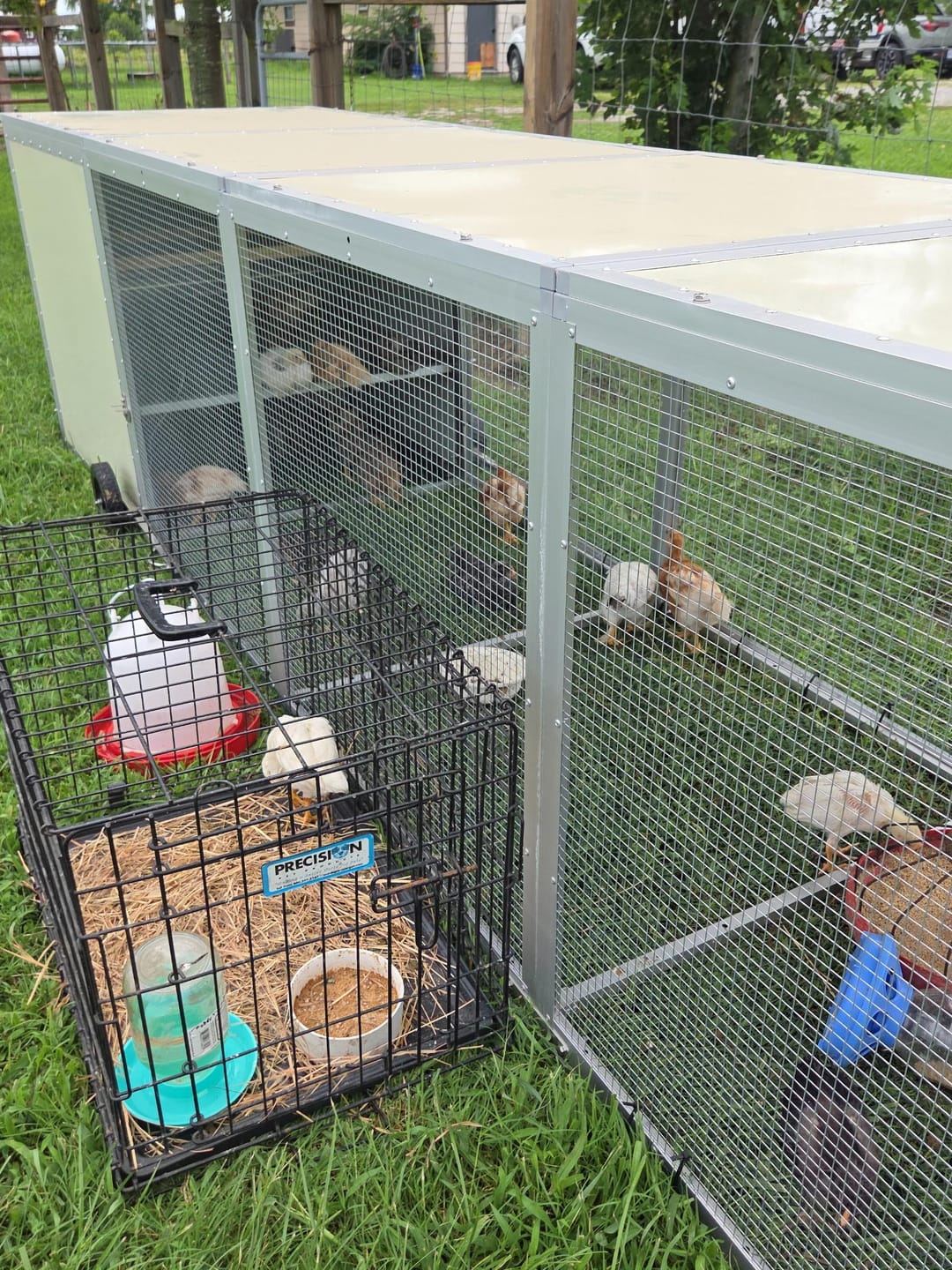 Customer photo review of Mobile Chicken Coop / Chicken Tractor