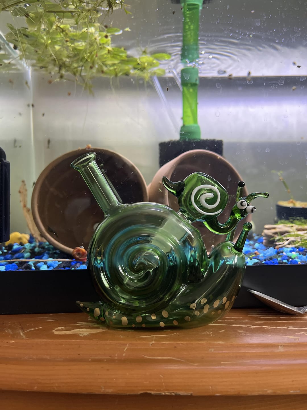 Customer photo review of SNAIL BUBBLER