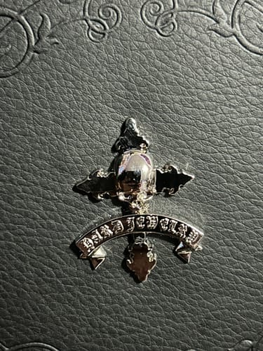 Close-up: Customer's DYT TRAVEL JEWELRY CASE showing the detailed silver emblem on the black exterior.