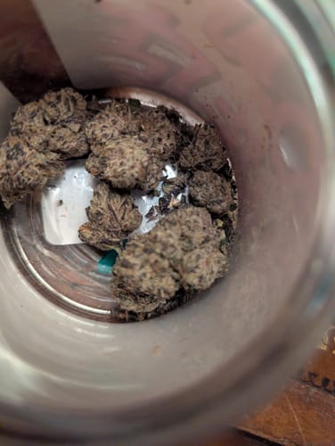 Pineapple Express Minis - Bulk Minis - Sativa photo review