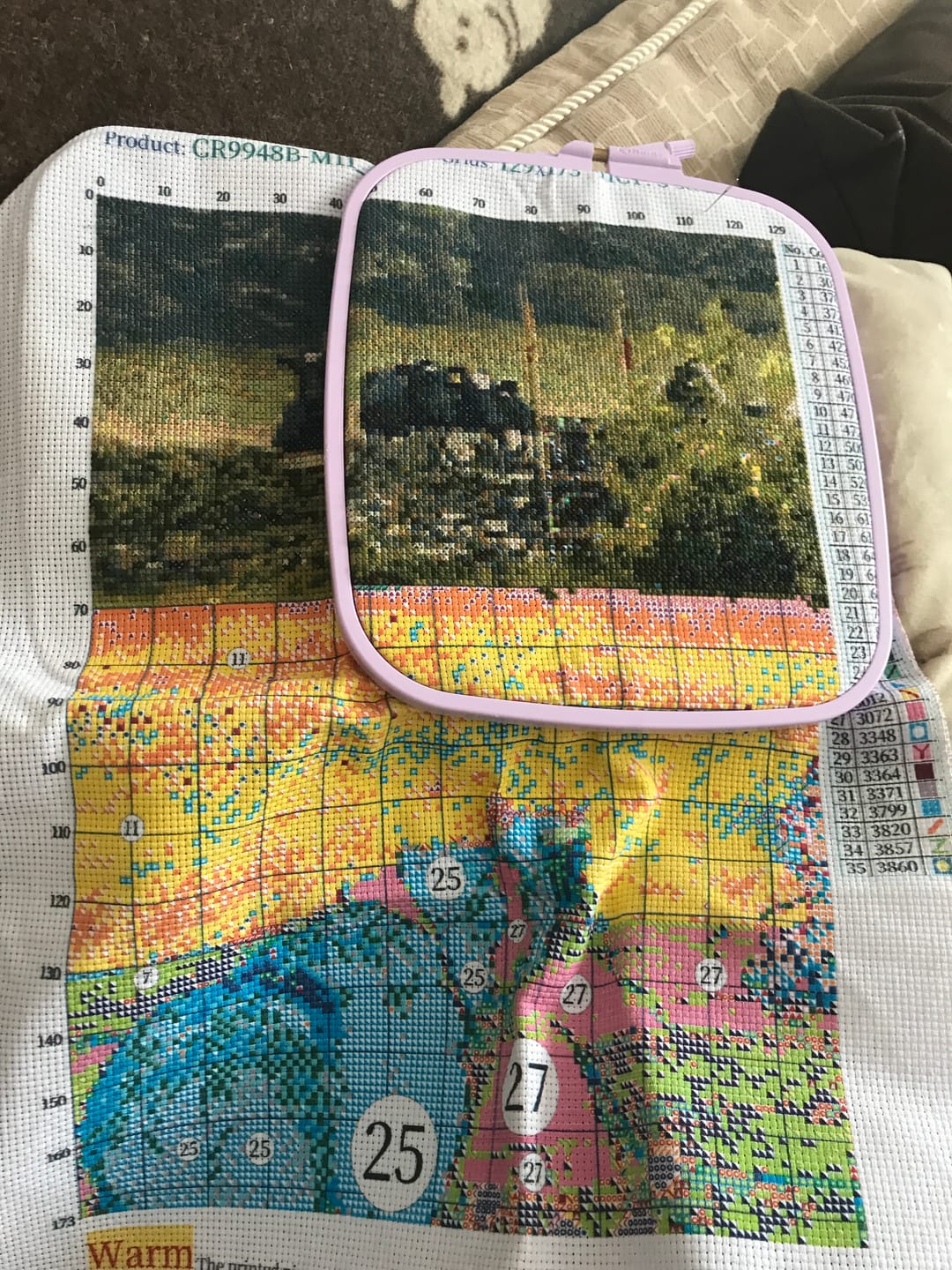 Customer photo review of Custom Cross Stitch Tapestry Kit | Just Upload Your Photo!