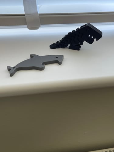 Customer photo review of Anycubic Kobra S1 Combo