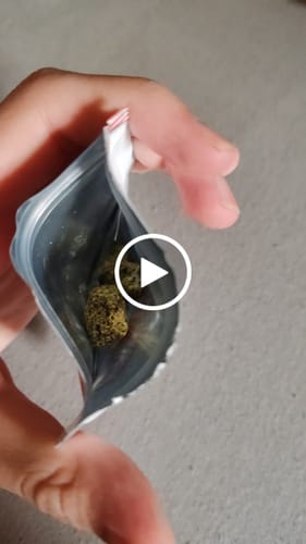 Customer video review of CALI SUPREME THCA Flower