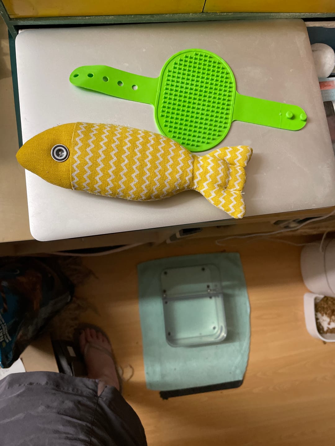 Customer photo review of PureStream Surprise Box (2 Cat Toys)