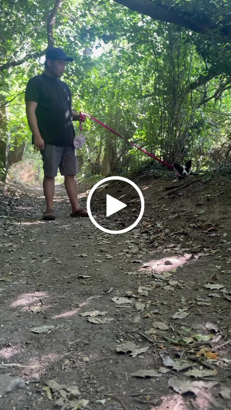 Customer video review of Multi-Way Lead